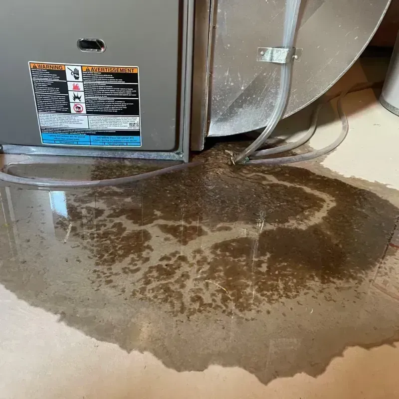 Appliance Leak Cleanup in Channahon, IL